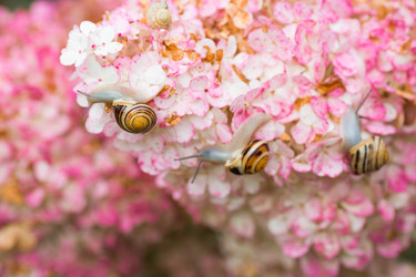 Similar image 22395721