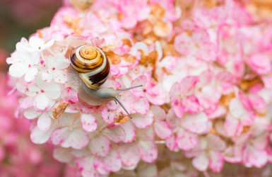 Similar image 22395781