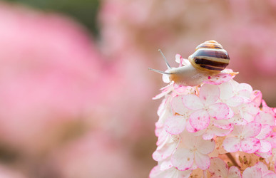 Similar image 22395826