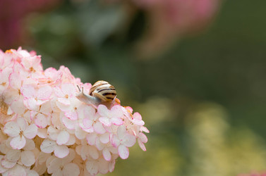 Similar image 22395886