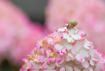 Similar image 22395991