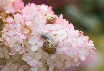 Similar image 22396051