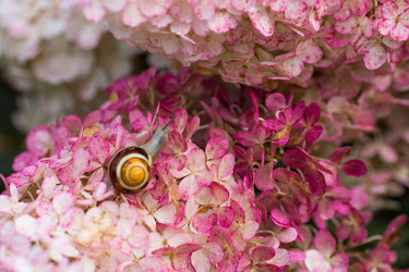 Similar image 22396096