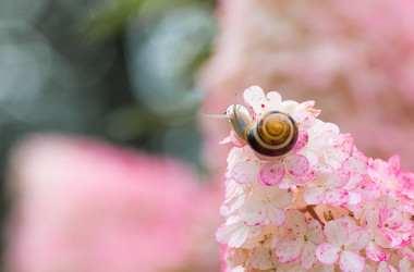 Similar image 22396156