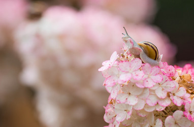 Similar image 22396216