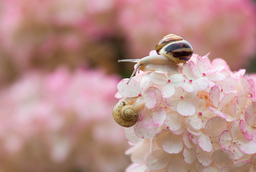 Similar image 22396261