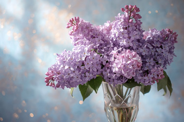 Similar image 22399487