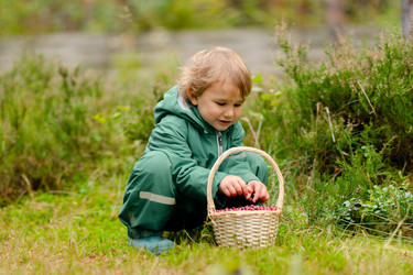 Similar image 22425441