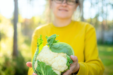 Similar image 22425442