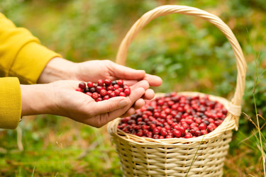 Similar image 22425443