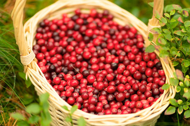 Similar image 22425444