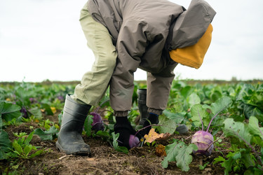 Similar image 22425445