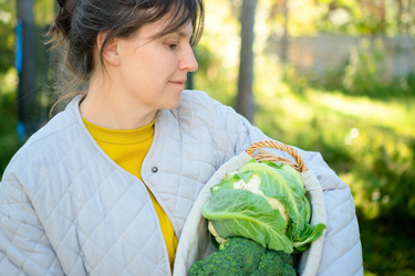 Similar image 22425447