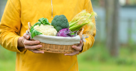 Similar image 22425450