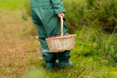 Similar image 22425453