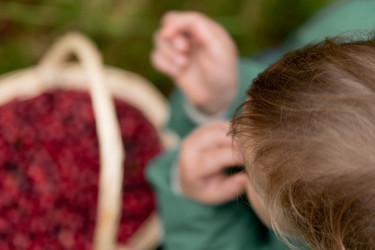 Similar image 22425454