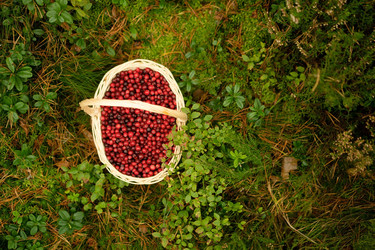 Similar image 22425455