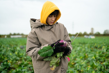 Similar image 22425456