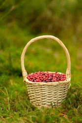 Similar image 22425457