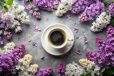 Similar image 22399338