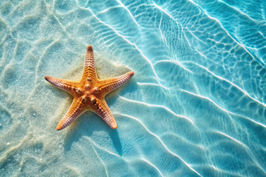 Similar image 22398933