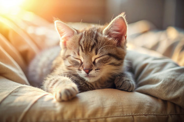 Similar image 22399082