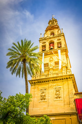 Similar image 22423953