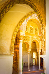 Similar image 22423954