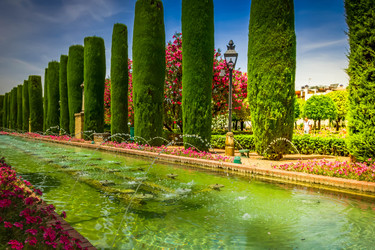 Similar image 22423955