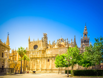 Similar image 22423959