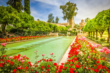 Similar image 22423961