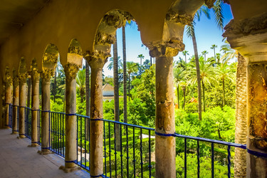 Similar image 22423965