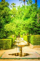 Similar image 22423972