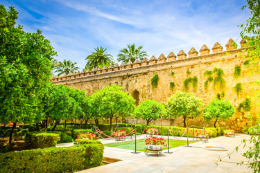 Similar image 22423974