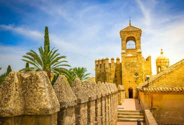 Similar image 22423979