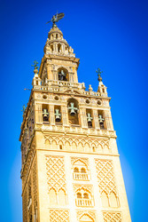 Similar image 22423980