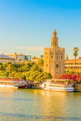 Similar image 22423984