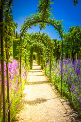 Similar image 22423991