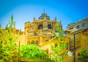 Similar image 22423996