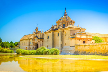 Similar image 22424001