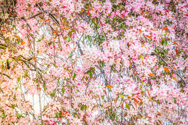 Similar image 22424004