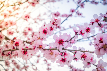 Similar image 22424007