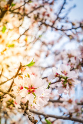 Similar image 22424008