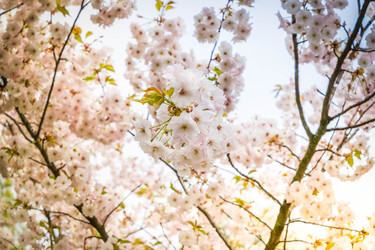 Similar image 22424009