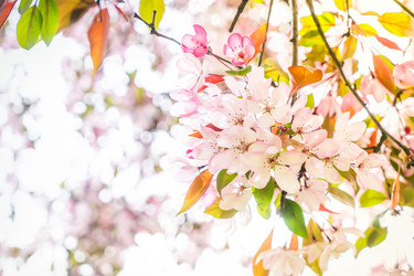 Similar image 22424010