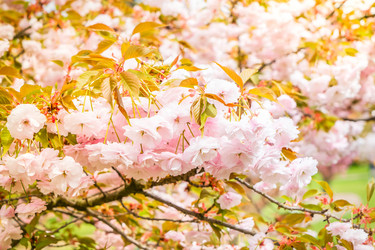 Similar image 22424012