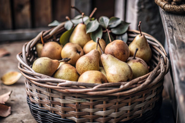 Similar image 22395158