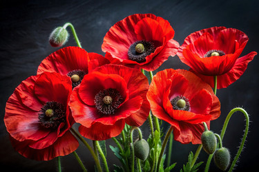 Similar image 22396817