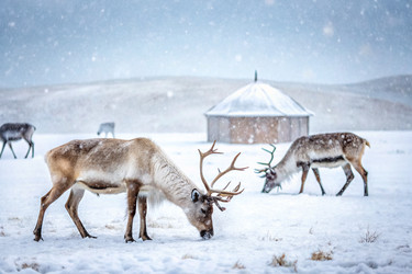 Similar image 22398735