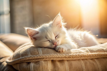 Similar image 22397315